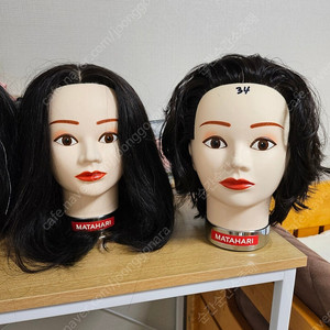마타하리 레이어