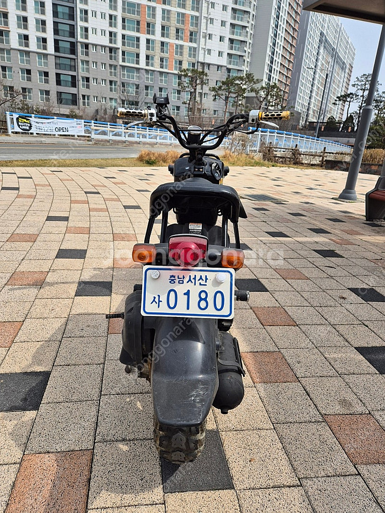 혼다 줌머50--2