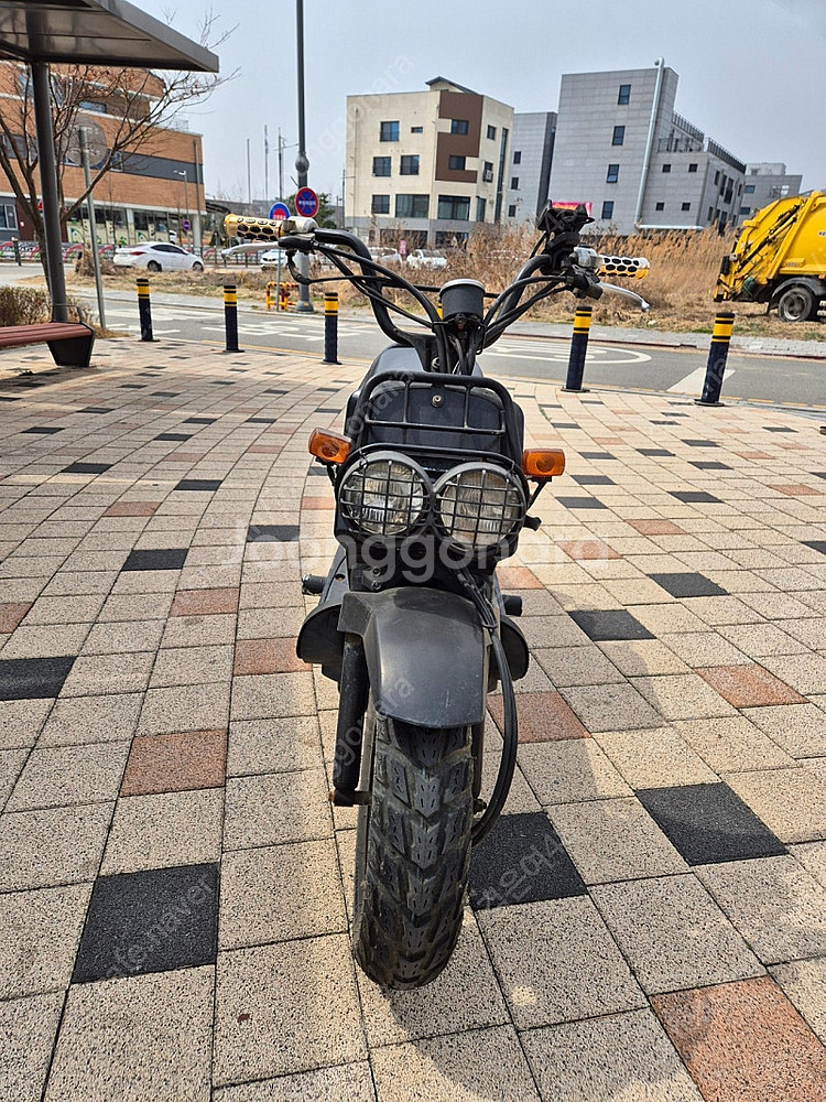 혼다 줌머50--3