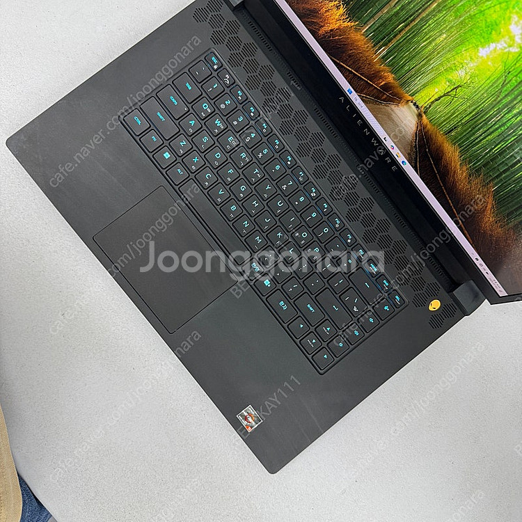 에일리언웨어 게이밍 노트북 팝니다 m17 r5 amd--1