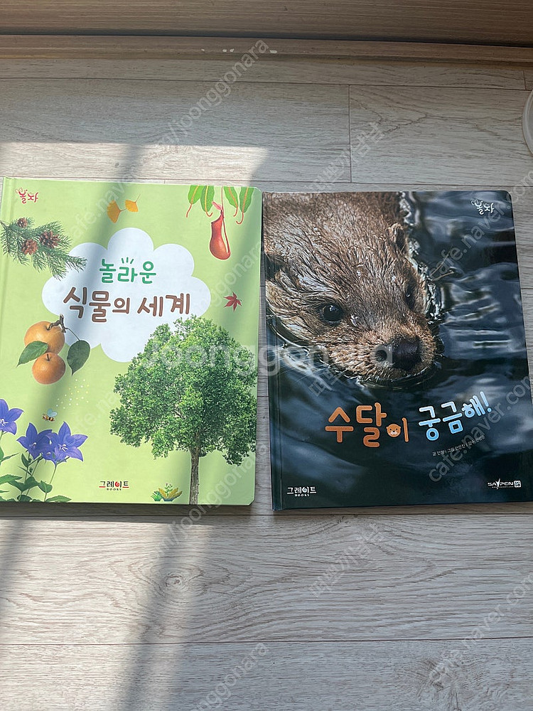 놀라운 자연--0