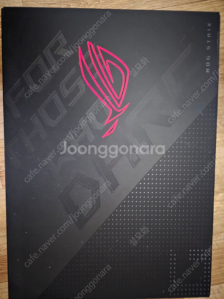 ASUS ROGSTRIX G713RW LL102--0