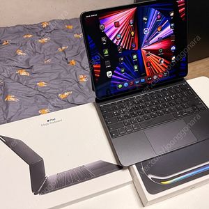 아이패드 프로 13인치 m4, 스페이스블랙, 256GB, 셀룰러 + 매직 키보드(블랙, 한글) + 애플케어 팝니다.