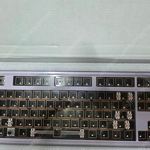 MONKA 6087 베어본 퍼플 미사용