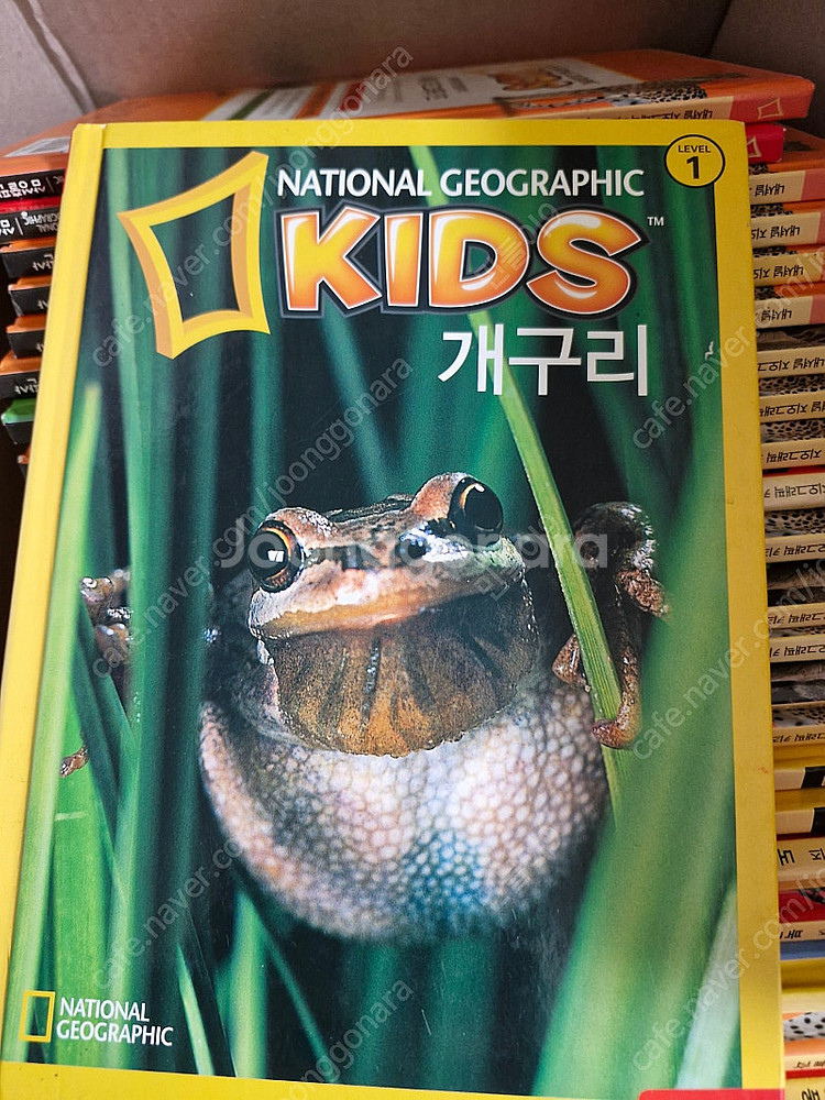내셔널지오그래픽 키즈 동식물 과학책 초등학교까지 택배비포함--0