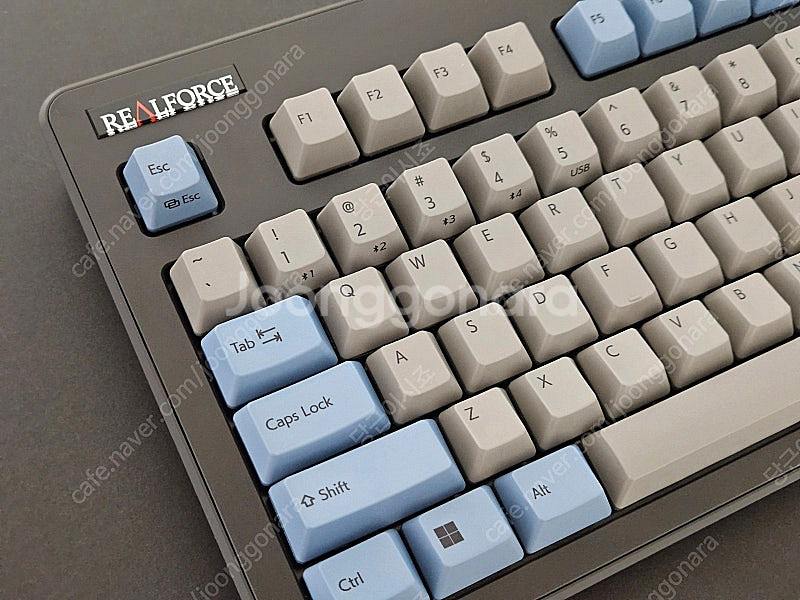 리얼포스 R3TL BT 그레이블루 30g 영문--0