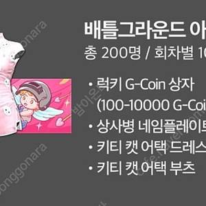 배그 배틀그라운드 키티캣 의상+코인상자 쿠폰 팝니다.