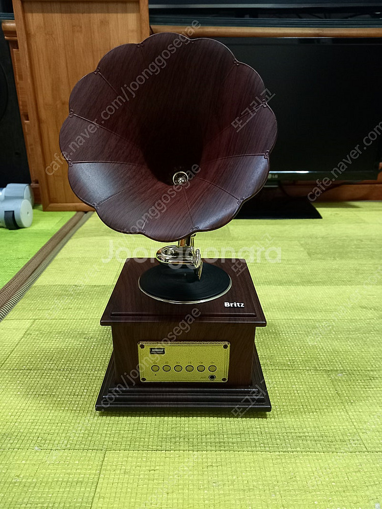 브리츠 레트로 스피커 BZ-S2018 90000원--3