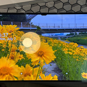 갤럭시탭 s9 울트라 256gb 5G 셀룰러