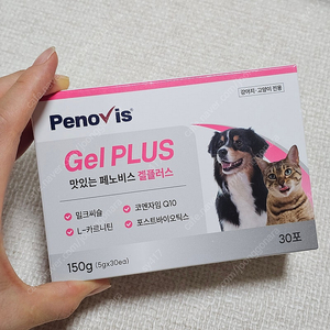 페노비스 겔플러스 투약보조제 강아지, 고양이 겸용 *새상품*