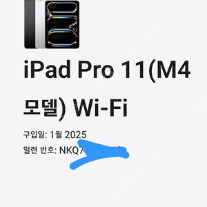 아이패드 프로11 M4칩 실버 와이파이512GB