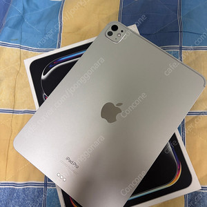 아이패드 프로 m4 11 256GB 상태최상