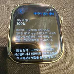 애플워치10 에르메스 판매