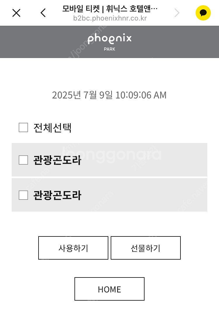 평창 휘닉스파크 곤도라 곤돌라 이용권 2장(2024.7...--0