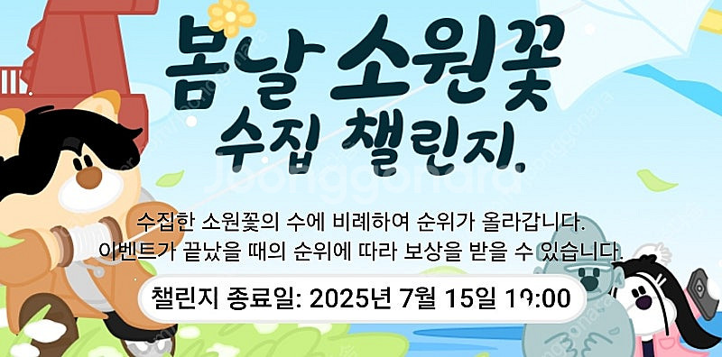 틱톡 소원꽃 미접 700삽니다!!--0