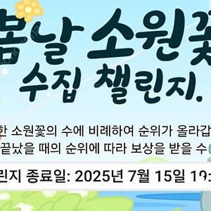 틱톡 소원꽃 미접 700삽니다!!