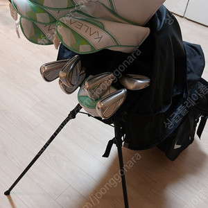 테일러메이드 칼레아2 풀세트 여성용