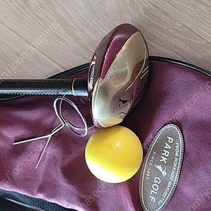 초보자 입문용 중고 파크골프채 아식스WS-1