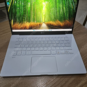 LG그램14Z90N 10세대판매합니다~~!!
