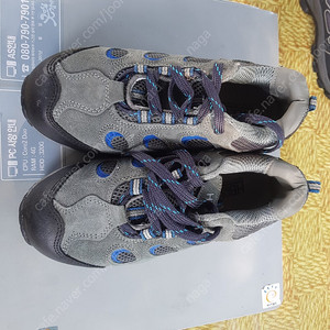 캠프라인 240mm 등산화 판매합니다