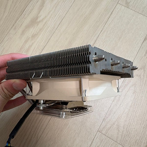 녹투아 l12ge(ghost edition), 녹투아 A12x25 PWM 판매