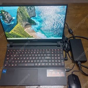 게이밍노트북 i7 11세대 Rtx3080 / 1.5테라 팝니다.