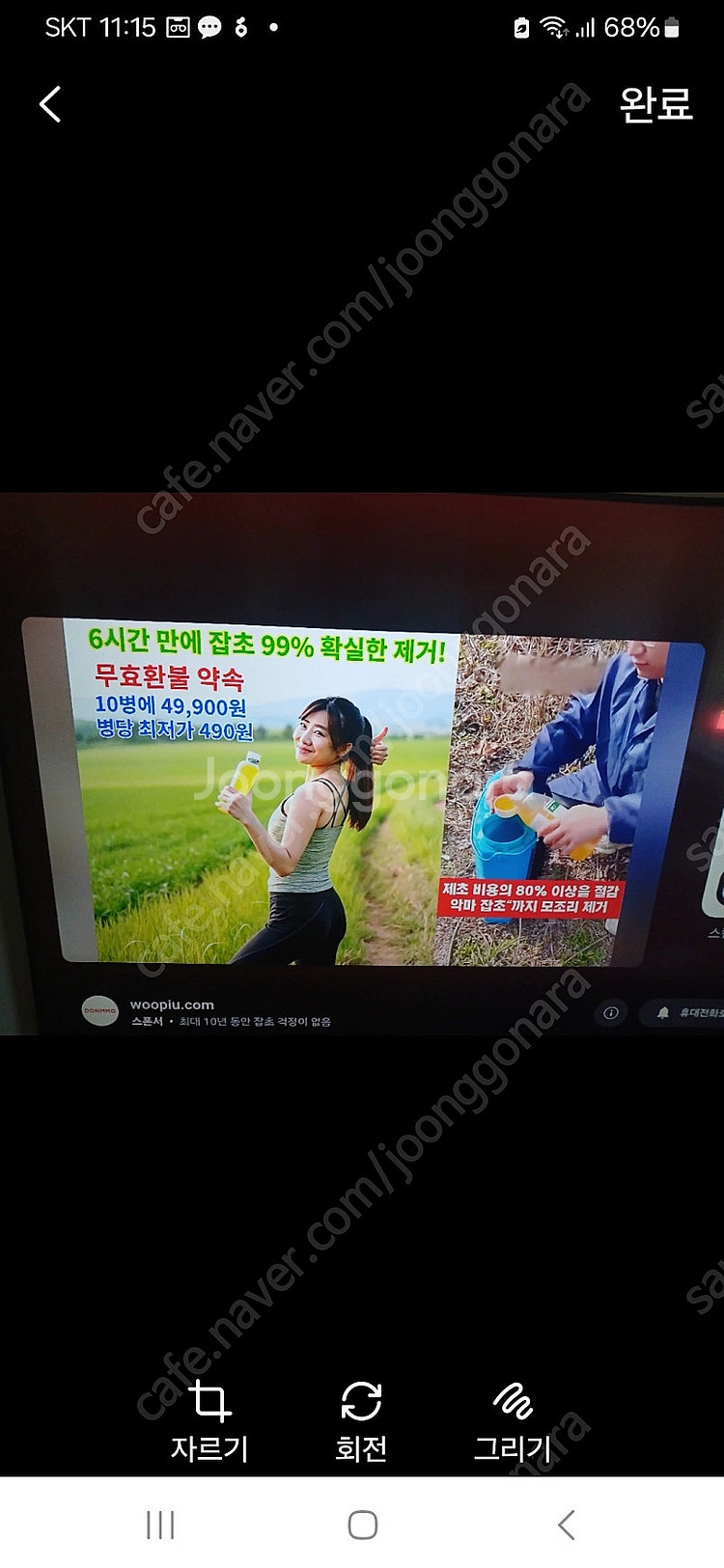 제초제--0