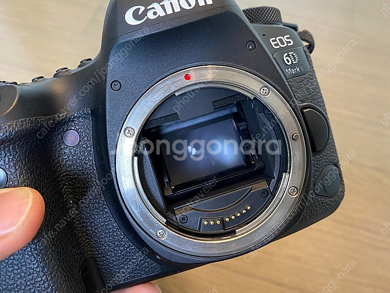 6D mark2 + 16-35 f4L 외--2