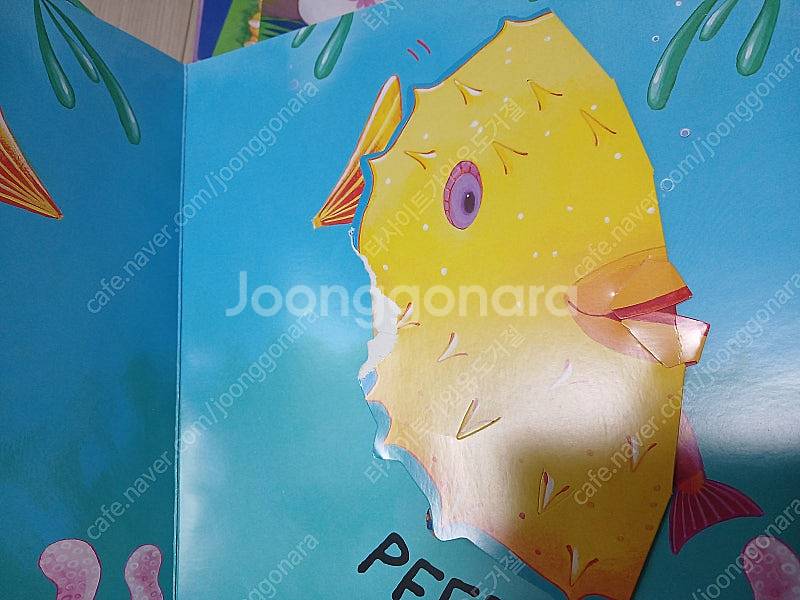 어메이징 팝업펀 영어원서 택배포함--2