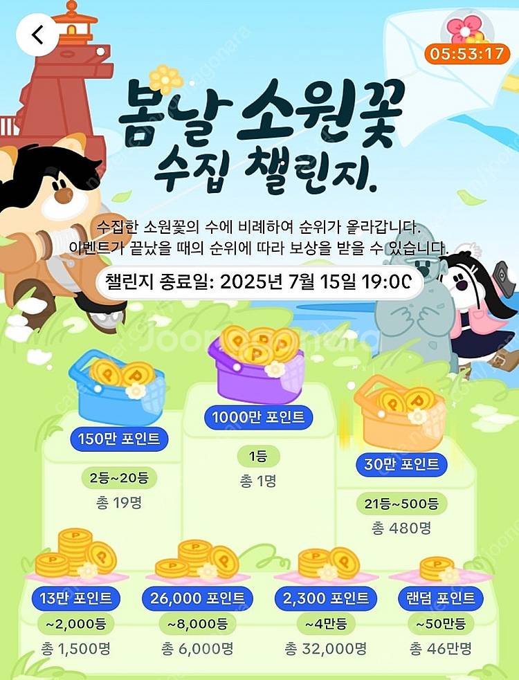 틱톡 야시장 소원꽃 미접속 팔아요~--0