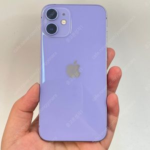 99953(울산중고폰) 아이폰12미니 배터리성능 100% 퍼플 128GB 판매합니다 21만원 텔레그램OK