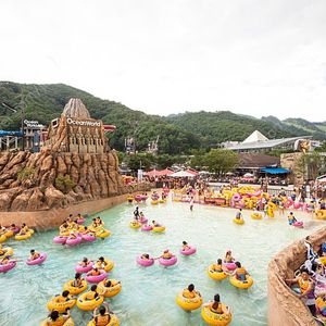 (7월 8월 여름 성수기) 홍천 비발디파크 소노펠리체 / 소노빌리지 / 소노벨 / 소노펫 / 오션월드!