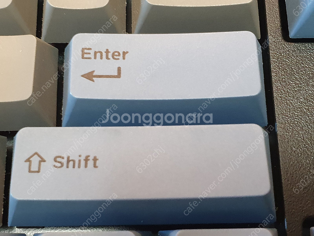 레오폴드 FC900RN/KGBPD(OE) 키보드, OE...--9
