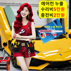 자동차 에어컨 냉매 충전 안시원 가스 냄새 필터 소리 수리 공임 비용 차 차량 가격 금액 청소 기름 주기 누수 누출 누유 교체 교환 확인 보충 셀프 나라 물 흐르는 소리 떨어짐 고