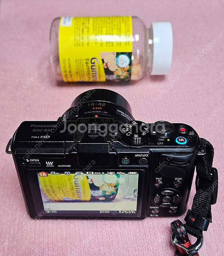 파나소닉 루믹스 DMC-GX1 디지털 카메라--3