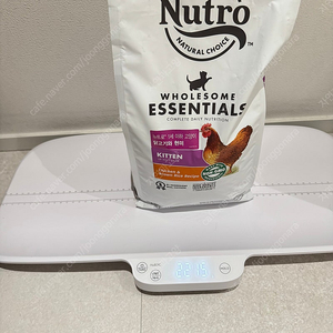 뉴트로 내추럴초이스 닭고기와 현미 고양이 키튼 사료 2.2kg