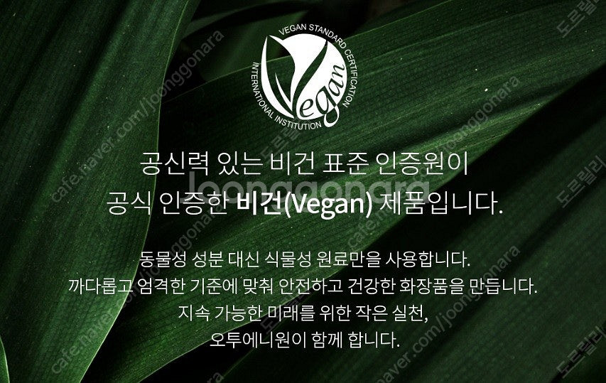 오투에니원 O21 비건 화장품 3종 세트 아주 싸게 팝...--2