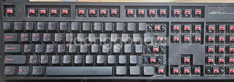 레오폴드 FC900R PD 저소음 적축 풀배열 검빨--0