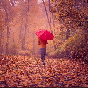 유율케이크사요