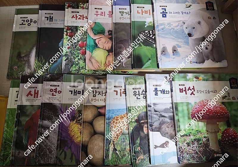 프뢰벨토탈012퍼펙트(영아다중.영아테마.말하기.생생다큐...--7