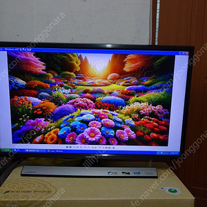 [개인] 삼성 LED TV 모니터 28인치 (5만원) - 삼성싱크마스터17인치 모니터(2만원) -- 서울