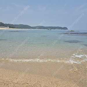 한화리조트 산정호수 8월15일 1박 구해요