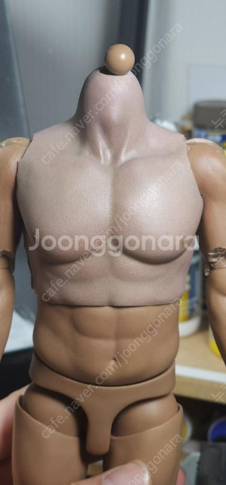 넛피츠 핫토이 1/6 베인 커스텀 작 팝니다--7