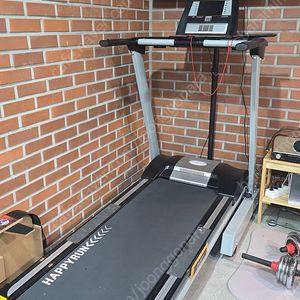 DS-5011 해피런 런닝머신