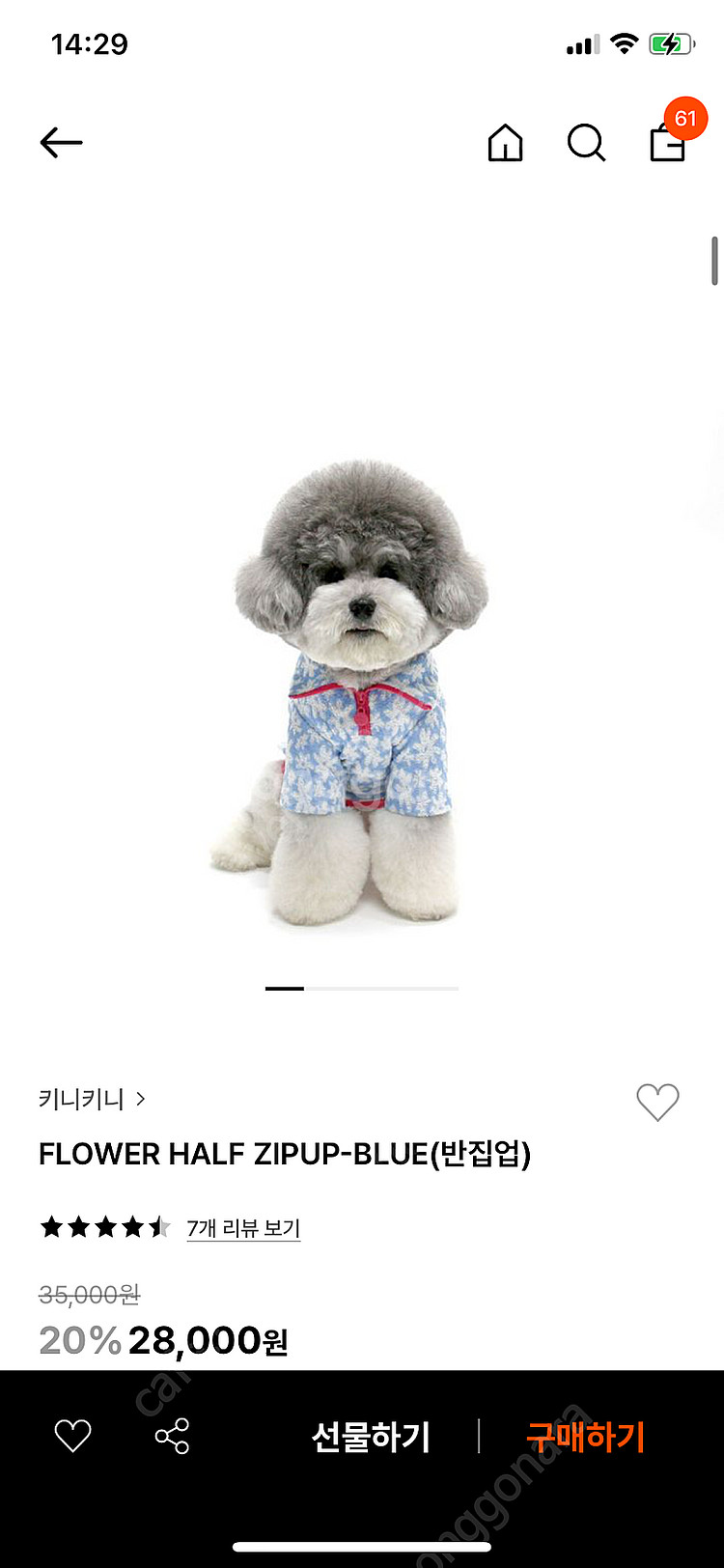 키니키니 강아지 옷--0