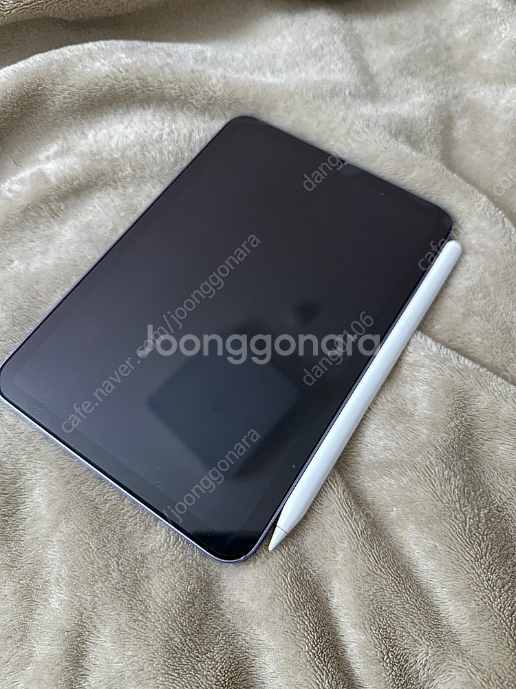 아이패드 미니6 64G 퍼플 + 애플펜슬2 애케플 11...--1