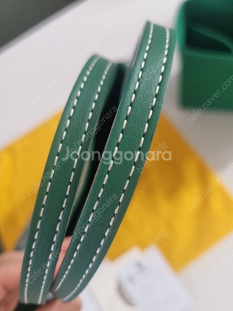 고야드 미니 앙주 그린--2
