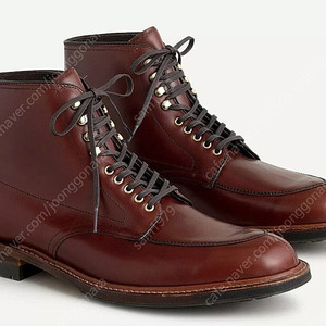 알든 Algonquin V-Tip 부츠 (D9959)