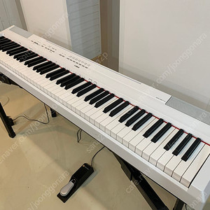 YAMAHA P-115 야마하 디지털피아노 화이트 팝니다.