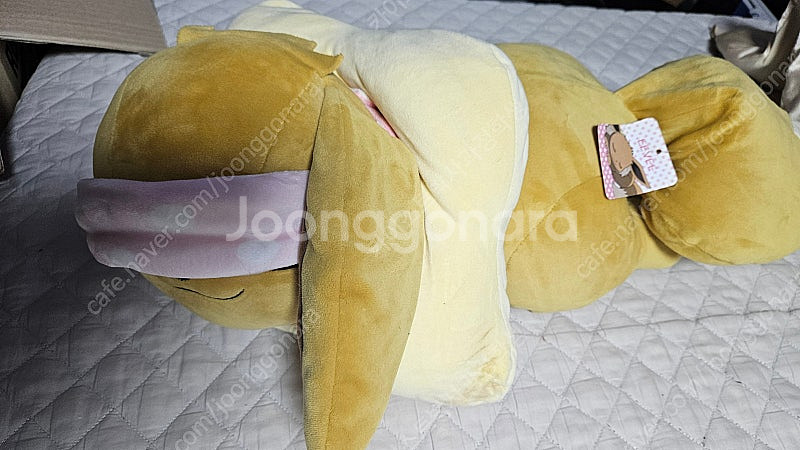 소장품정리) 포켓몬센터 정품 새제품 인형 균일가 5천원...--6